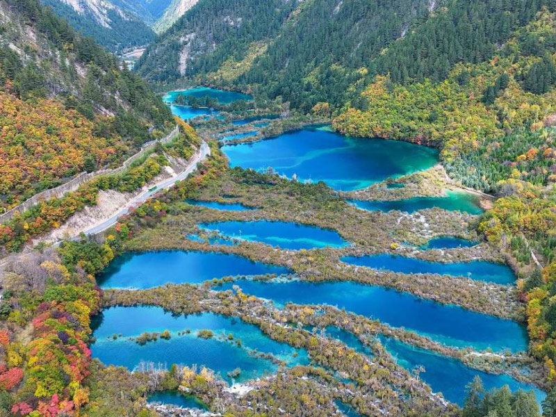 di-chuyen-den-cuu-trai-cau