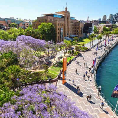 khu-pho-co-the-rock-tour-sydney-uc