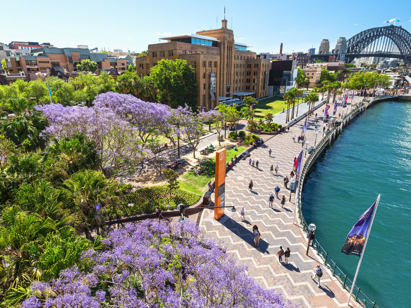 khu-pho-co-the-rock-tour-sydney-uc khu-pho-co-the-rock-tour-sydney-uc