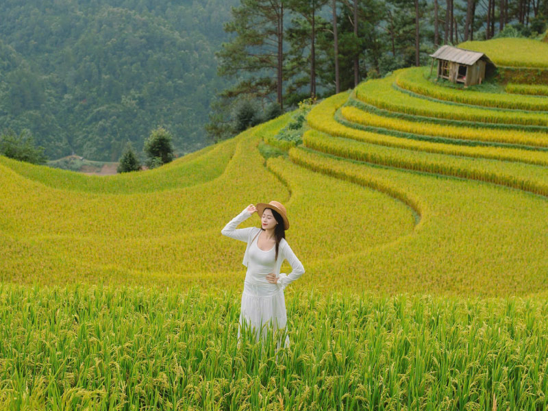 thien-nhien-mu-cang-chai-mua-thu