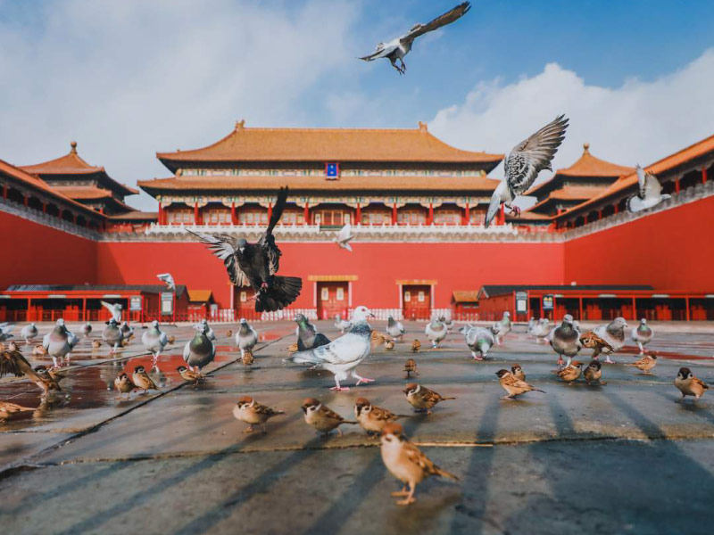 tu-cam-thanh-bieu-tuong-noi-tieng-bac-kinh