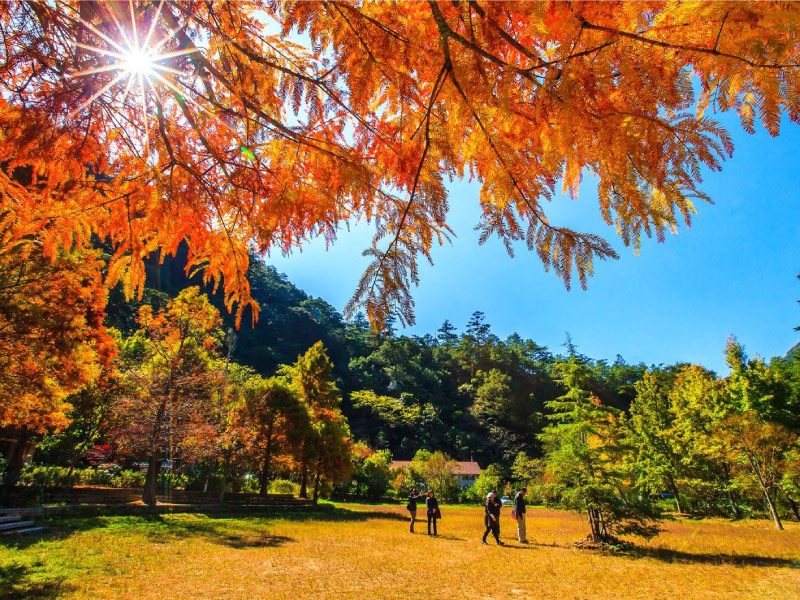 Cingjing-Farm-diem-du-lich-dai-loan-mua-thu-1