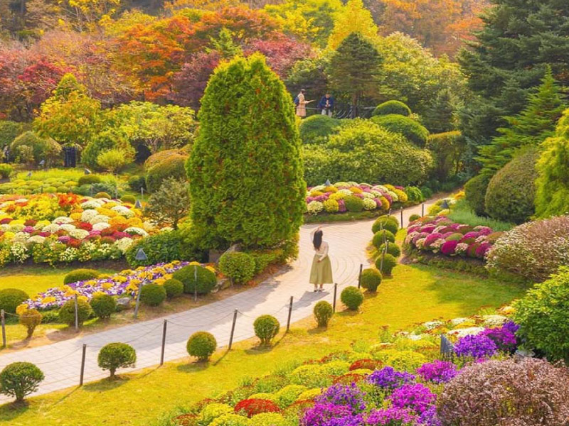 Garden-of-Morning-Calm-han-quoc-mua-thu-1
