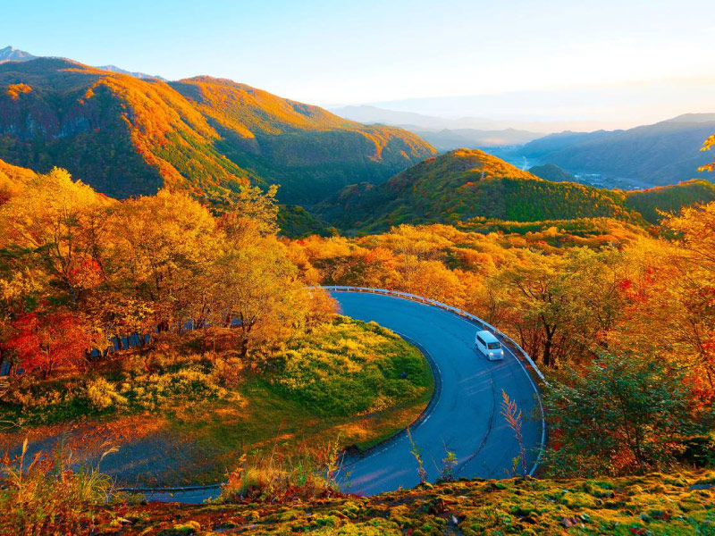 Nikko-nhat-ban-mua-thu