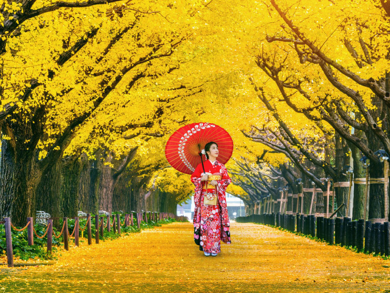 Tokyo-diem-du-lich-nhat-ban-mua-thu