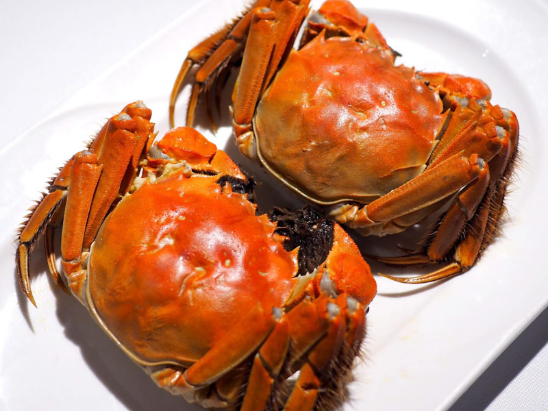 bi-quyet-chon-cua-long-thuong-hai-ngon