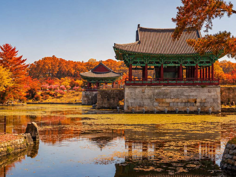 co-do-Gyeongju-mua-thu