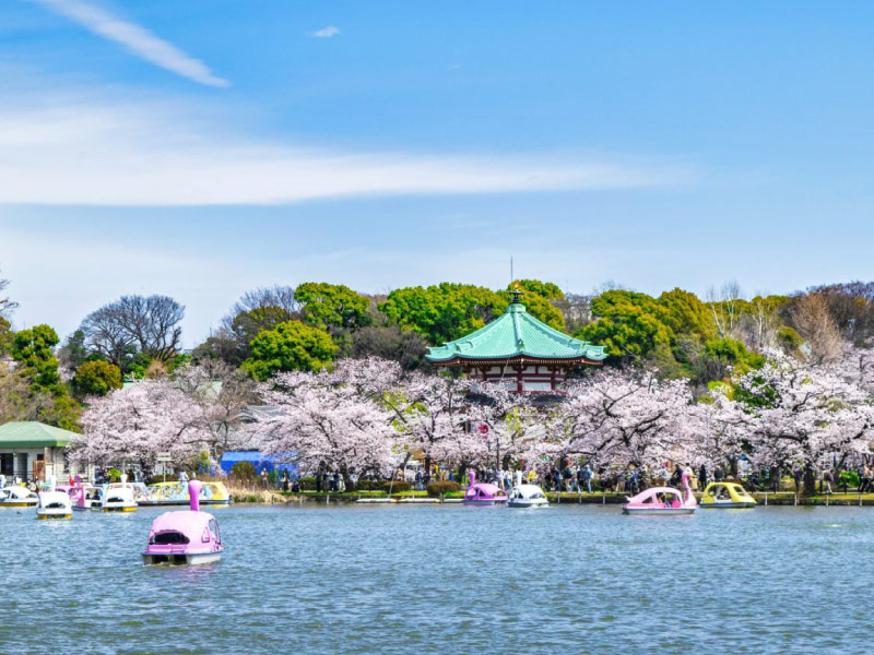 cong-vien-ueno-trai-nghiem-tokyo-nhat-ban