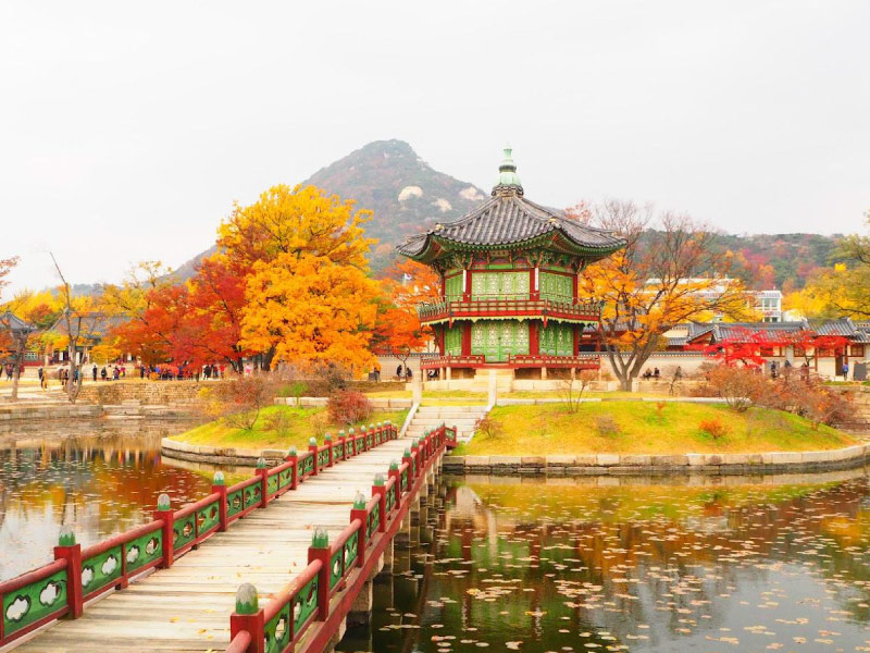 cung-dien-Gyeongbokgung-diem-du-lich-han-quoc-mua-thu