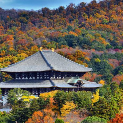 den-todaiji-hoi-cho-nhat-ban-2026