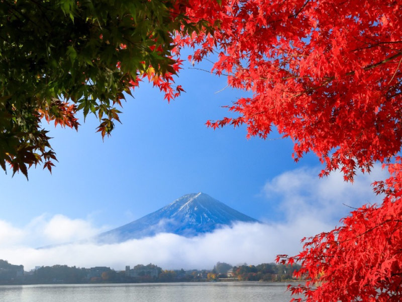 ho-Kawaguchi-mua-thu