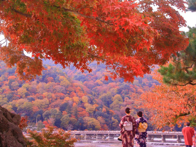 kyoto-diem-du-lich-nhat-ban-mua-thu