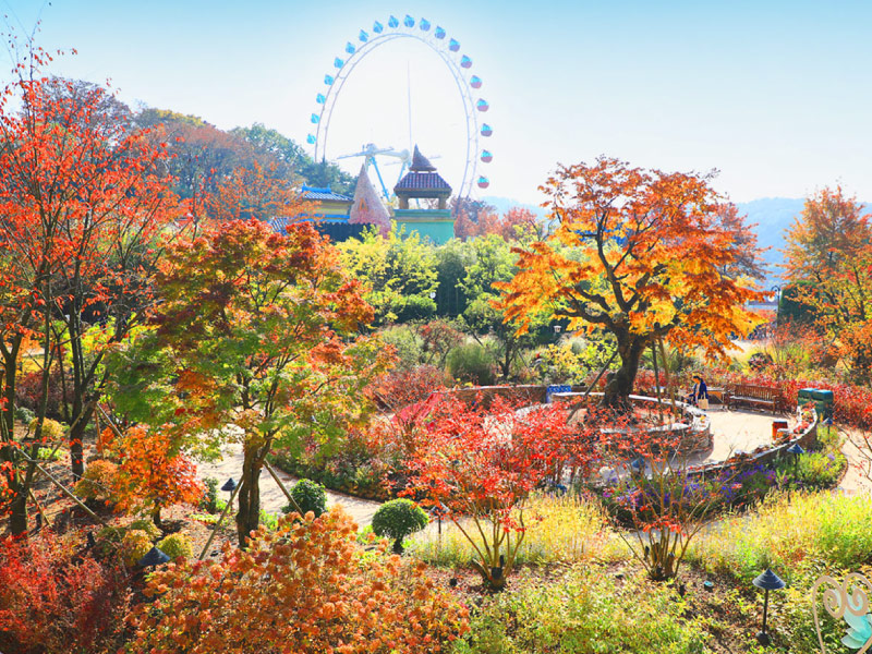 lich-trinh-du-lich-han-quoc-mua-thu-everland