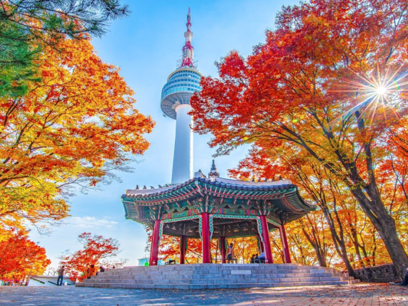 lich-trinh-du-lich-han-quoc-mua-thu-thap-namsan