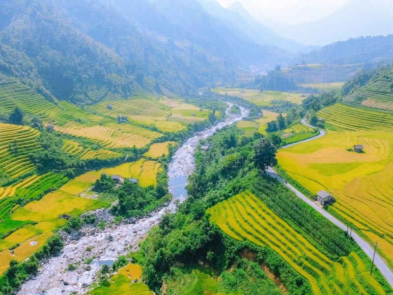 ruong-bac-thang-sapa-mua-lua-chin