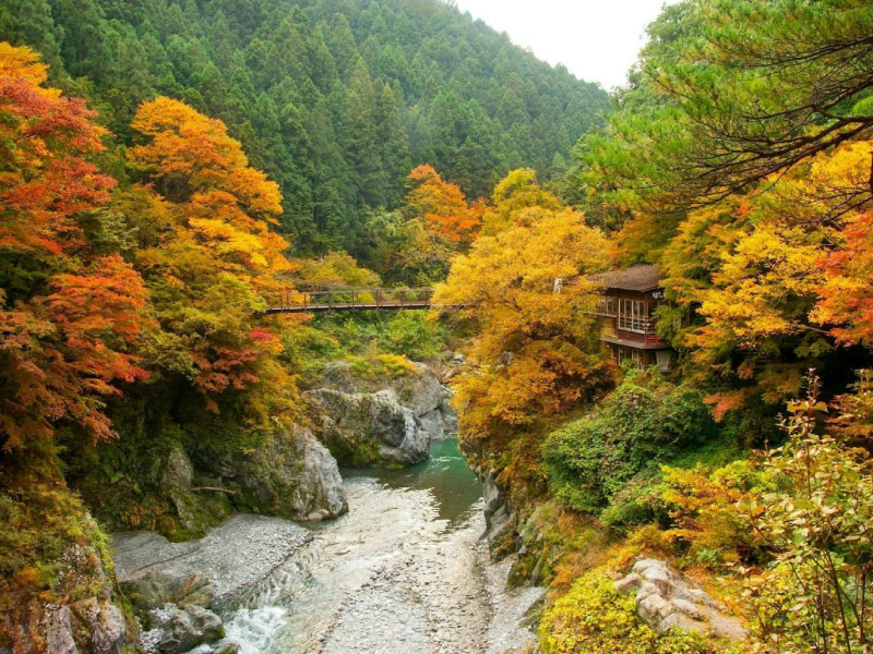 thung-lung-Hikawa-diem-du-lich-tokyo-mua-thu