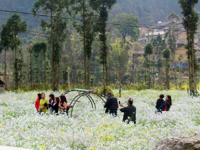 thung-lung-sung-la-ha-giang-mua-thu