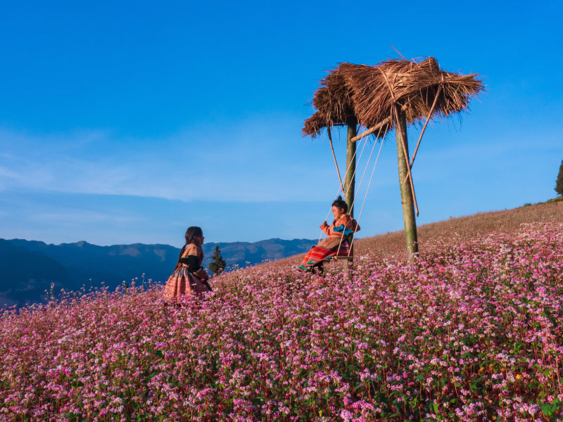 ve-dep-ha-giang-mua-thu-tam-giac-mach