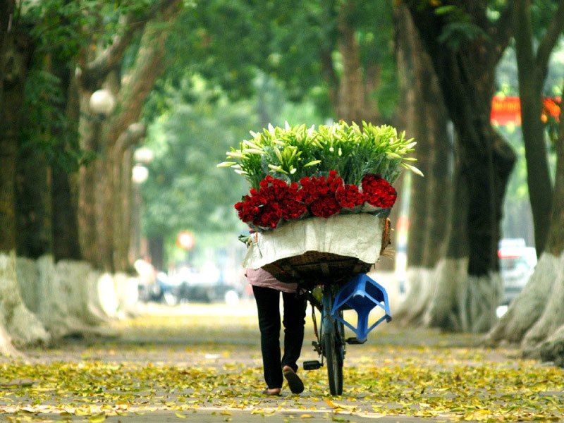 ve-dep-ha-noi-mua-thu