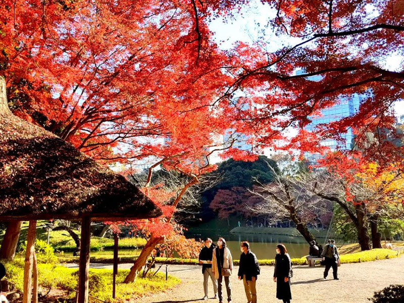 vuon-Koishikawa-Korakuen