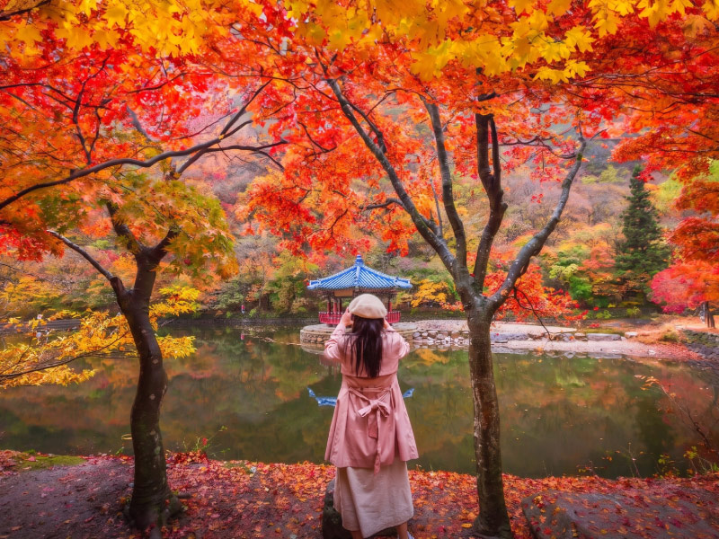 vuon-quoc-gia-Naejangsan-mua-thu-1