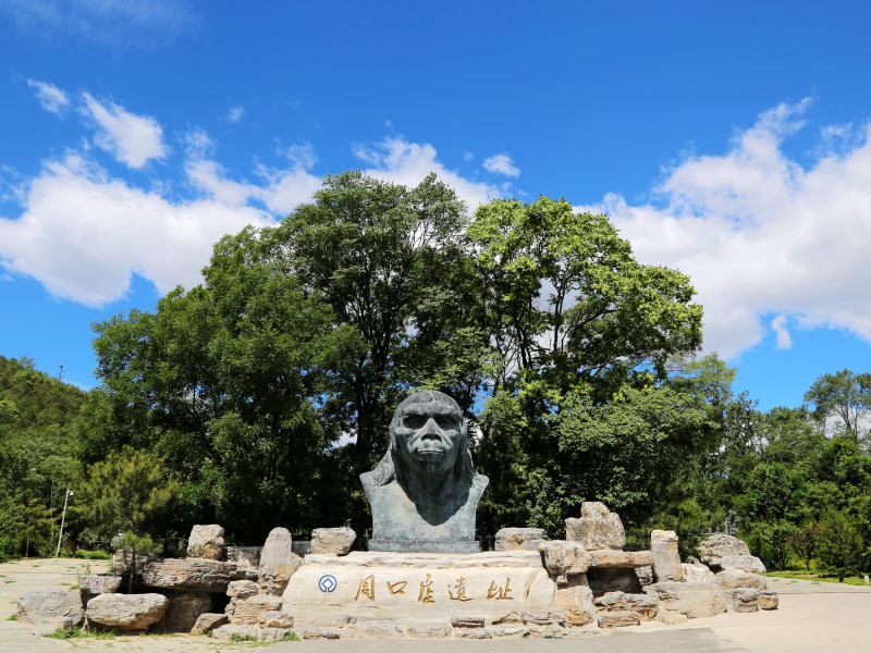 di-chi-nguoi-vuon-bac-kinh-tai-chu-khau-diem