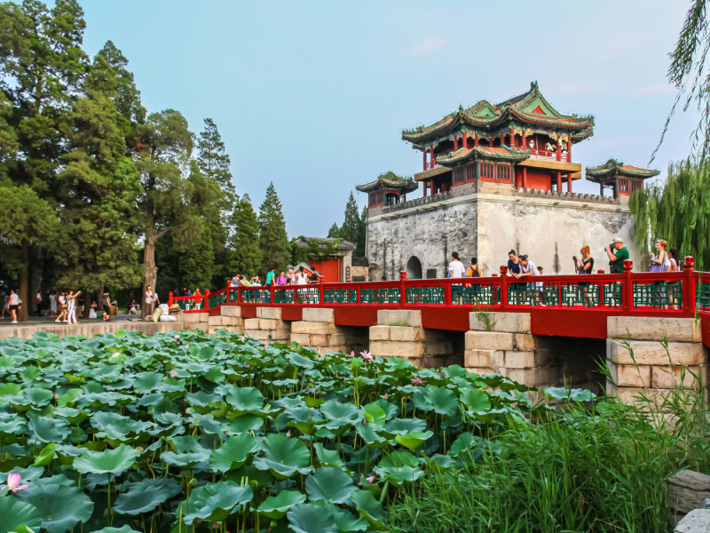 di-hoa-vien-di-san-the-gioi-bac-kinh