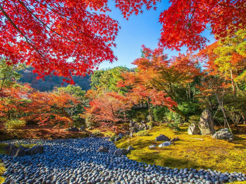 kyoto-du-lich-nhat-ban-thang-11