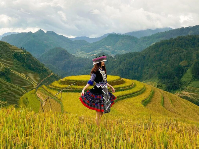 mua-cang-chai-mua-lua-chin-vang-dong-tay-bac