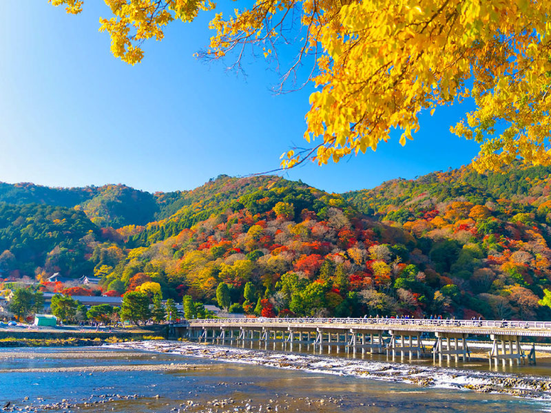 cung-duong-di-san-Arashiyama-Kyoto-cung-duong-mua-thu-1