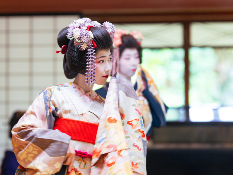 huong-dan-dat-ve-maiko-show