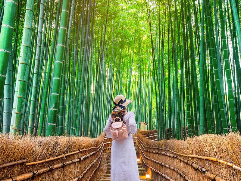 luu-y-khi-tham-quan-rung-tre-Arashiyama-Kyoto