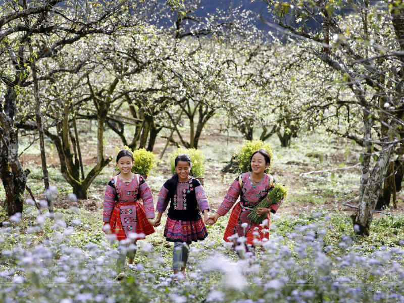 moc-chau-mua-thu-dong