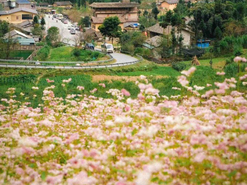 pho-bang-lang-van-hoa-lung-cam-hoa-tam-giac-mach-ha-giang