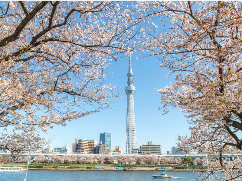 thap-truyen-hinh-tokyo-skytree